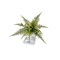 14" Artificial Green Wild Fern Bush - Faux Greenery for Arrangements - TCT Crafts - PF1700